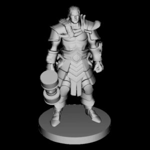 Human Male Barbarian