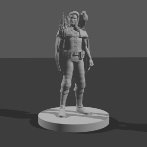 Elven Male Sorcerer with Hawk