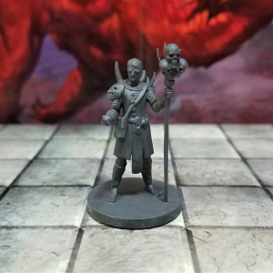 Human Warlock with Skull Staff